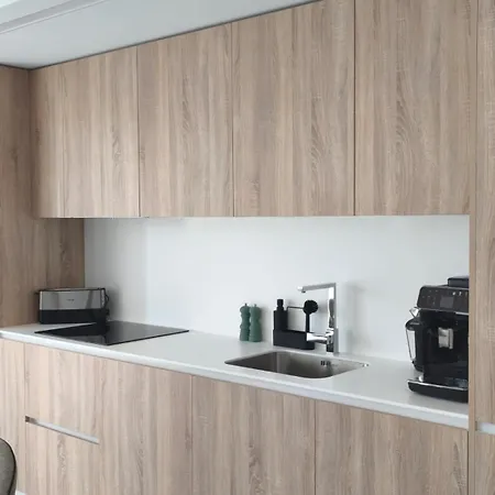 Διαμέρισμα Modern With Terrace Τορεβιέχα